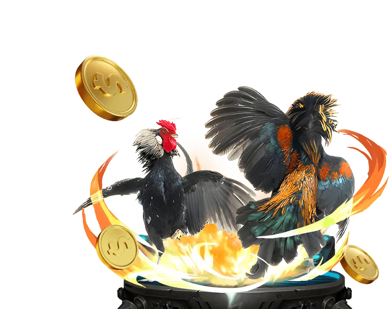 Chương Trình VIP Độc Quyền Của 555win app