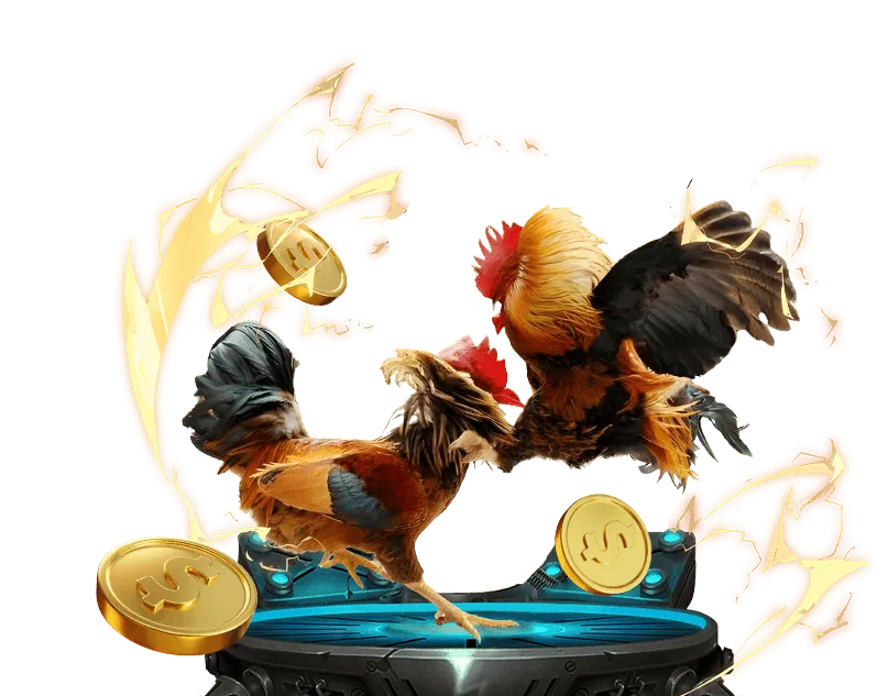 Các chương trình khuyến mãi và ưu đãi hấp dẫn từ 555win